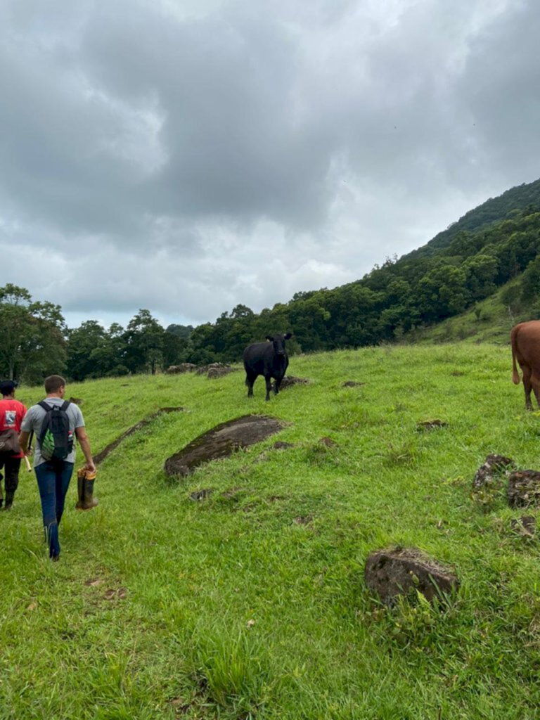ESTUDOS PARA OBTENÇÃO DA LICENÇA AMBIENTAL PARA ABRIR SERRA LIGANDO JACINTO MACHADO