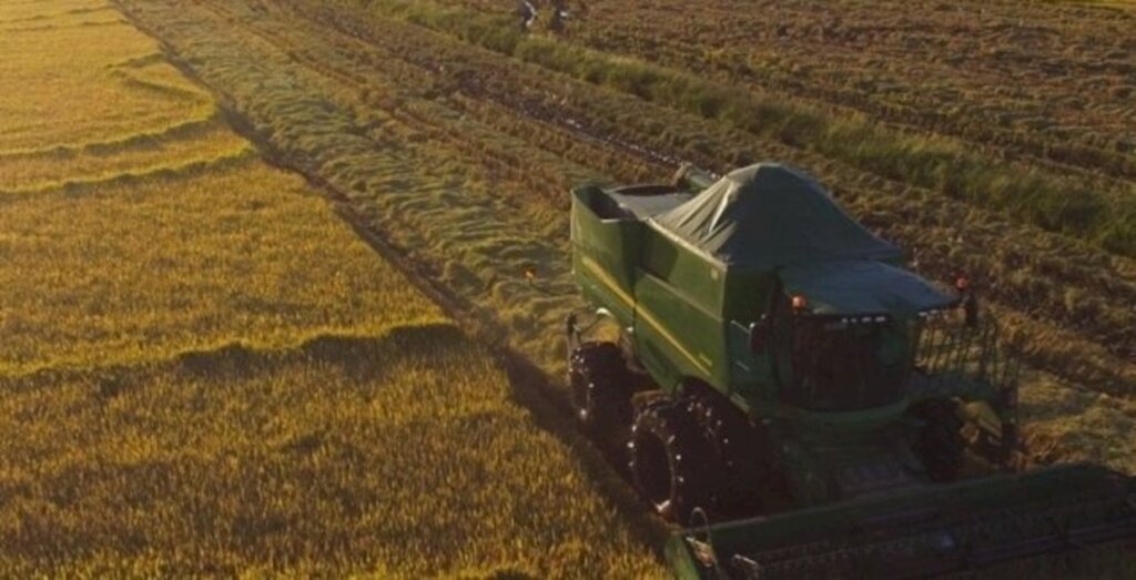 COOPERSULCA REALIZA A 2ª ABERTURA OFICIAL DA COLHEITA DO ARROZ