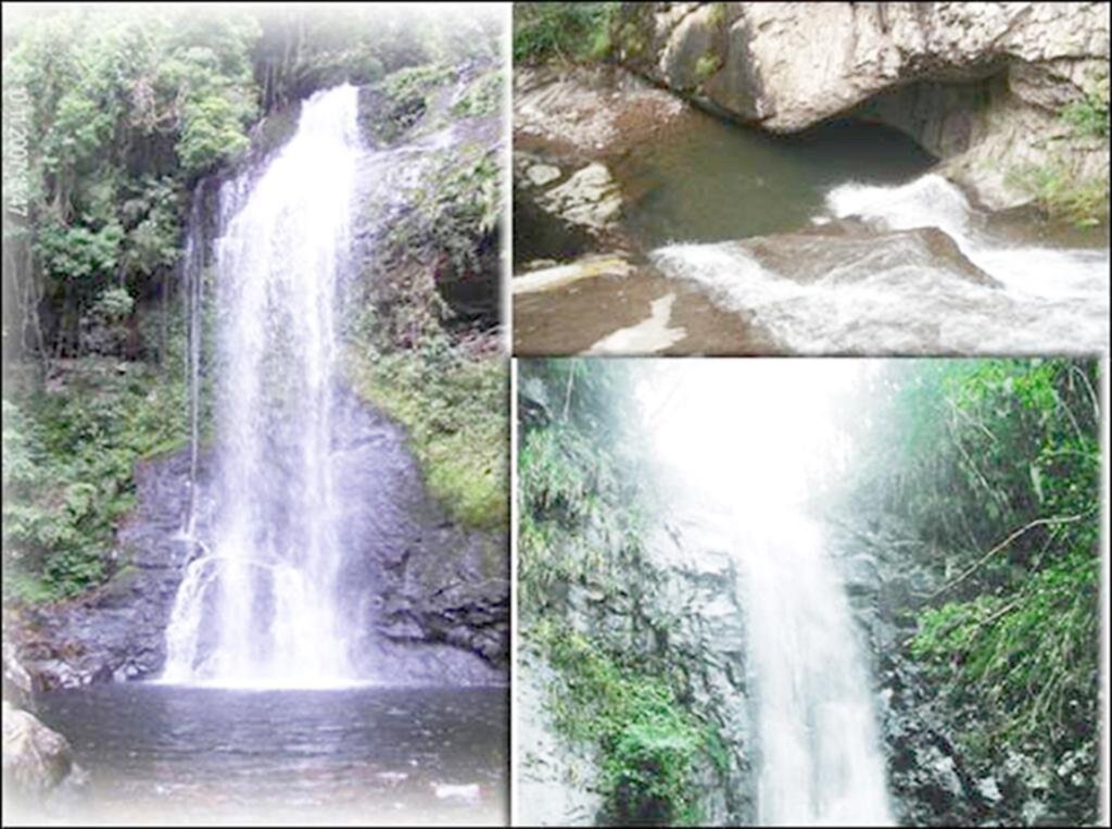 Imagem 2