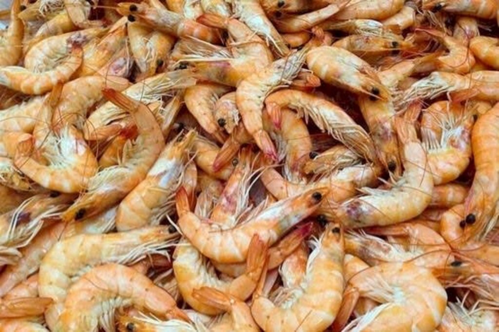 ATRATIVOS MAS PERIGOSOS: FRUTOS DO MAR SEM CUIDADOS SANITÁRIOS SÃO BARRADOS PELO TJ