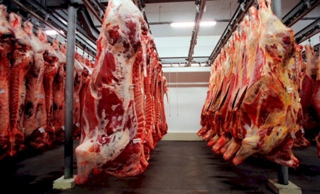 SETOR DE CARNES DE SC DEVE TER BOM MOMENTO A PARTIR DE SETEMBRO