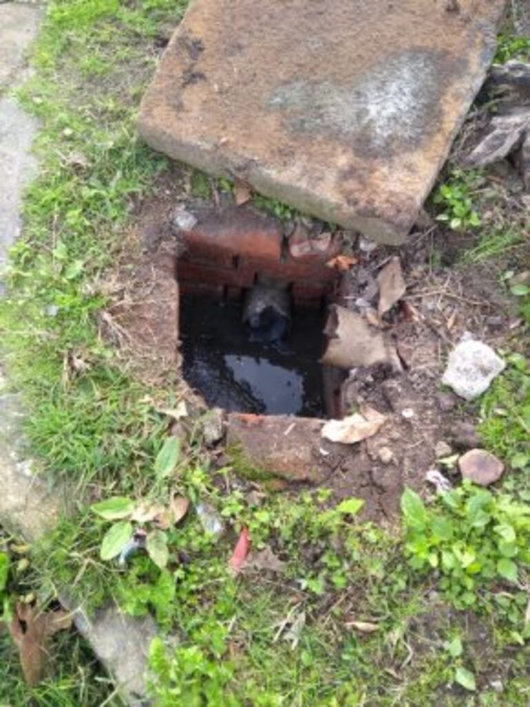 ESGOTO IRREGULAR: PREFEITURA DE TORRES CUMPRE DETERMINAÇÃO E DOA MATERIAL PARA OS CARENTES ATINGIDOS PELA AÇÃO