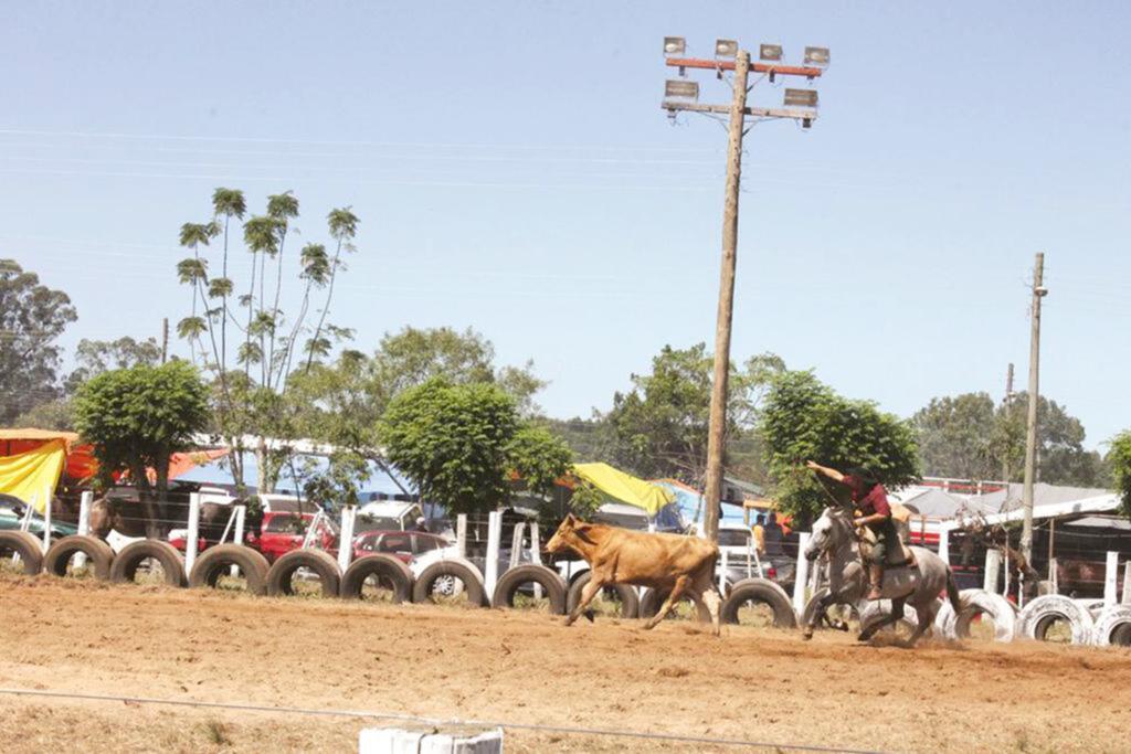 COMEÇA O CAMPEONATO MUNICIPAL DE LAÇO 2019