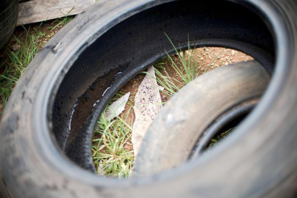 MESMO NO INVERNO, CUIDADOS COM O  AEDES AEGYPTI  DEVEM SER MANTIDOS