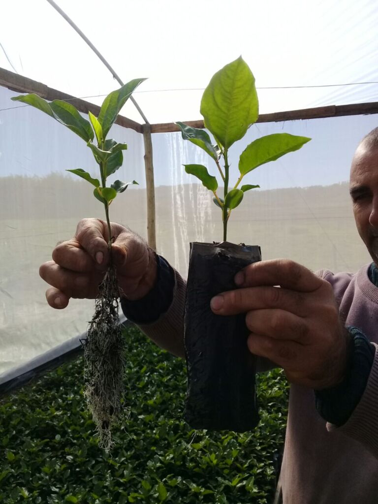 PRODUÇÃO DE MUDAS DE MARACUJÁ É TEMA DE CAPACITAÇÃO