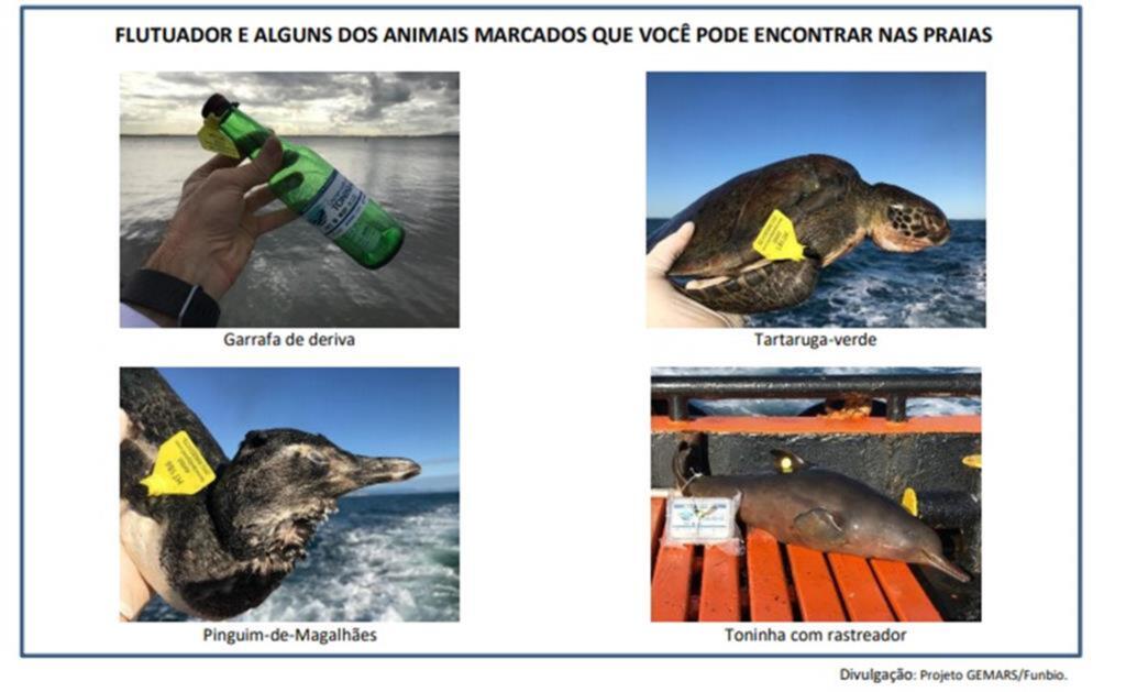 PREFEITURA DE PASSO DE TORRES APOIA O PROJETO DE PESQUISA SOBRE DERIVA DE ANIMAIS MARINHOS