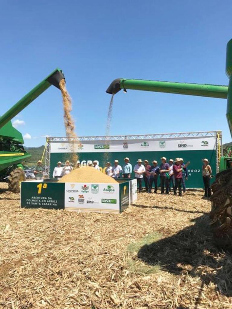 15º CAMPO AGROACELERADOR MARCA A ABERTURA  DA COLHEITA DO ARROZ CATARINENSE