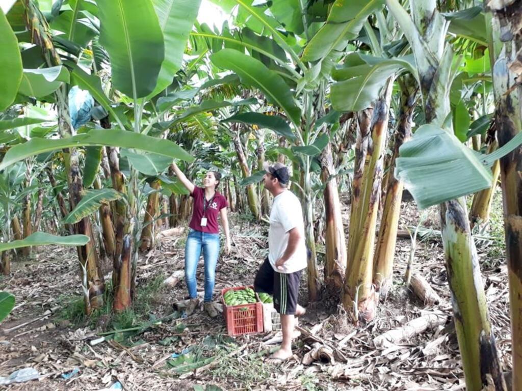 EPAGRI DE SÃO JOÃO DO SUL  VOLTA AS ATIVIDADES EM 2019