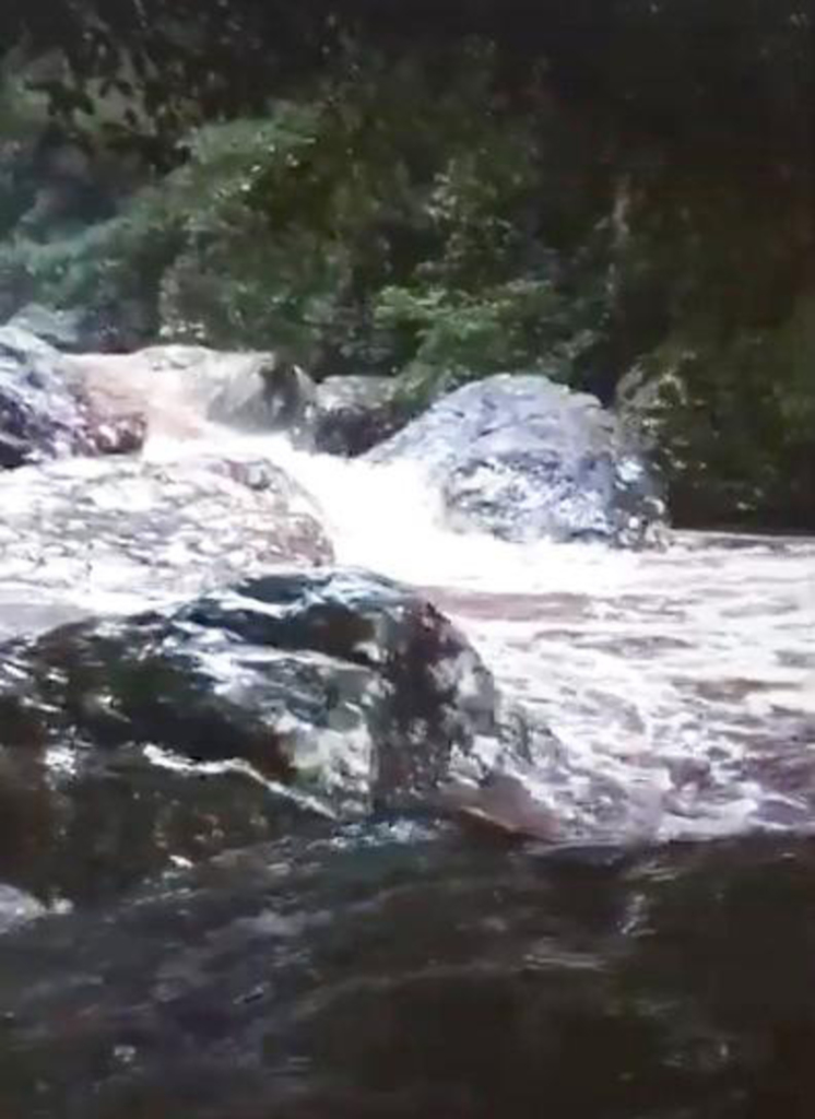 TURISTAS SÃO RESGATADOS APÓS  FICAREM ILHADOS NO CÂNION MALACARA