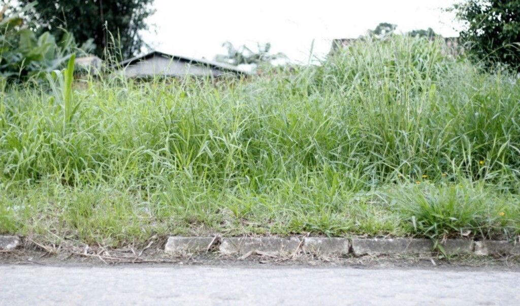 Foto: Jhulian Pereira / Arquivo Decom - 