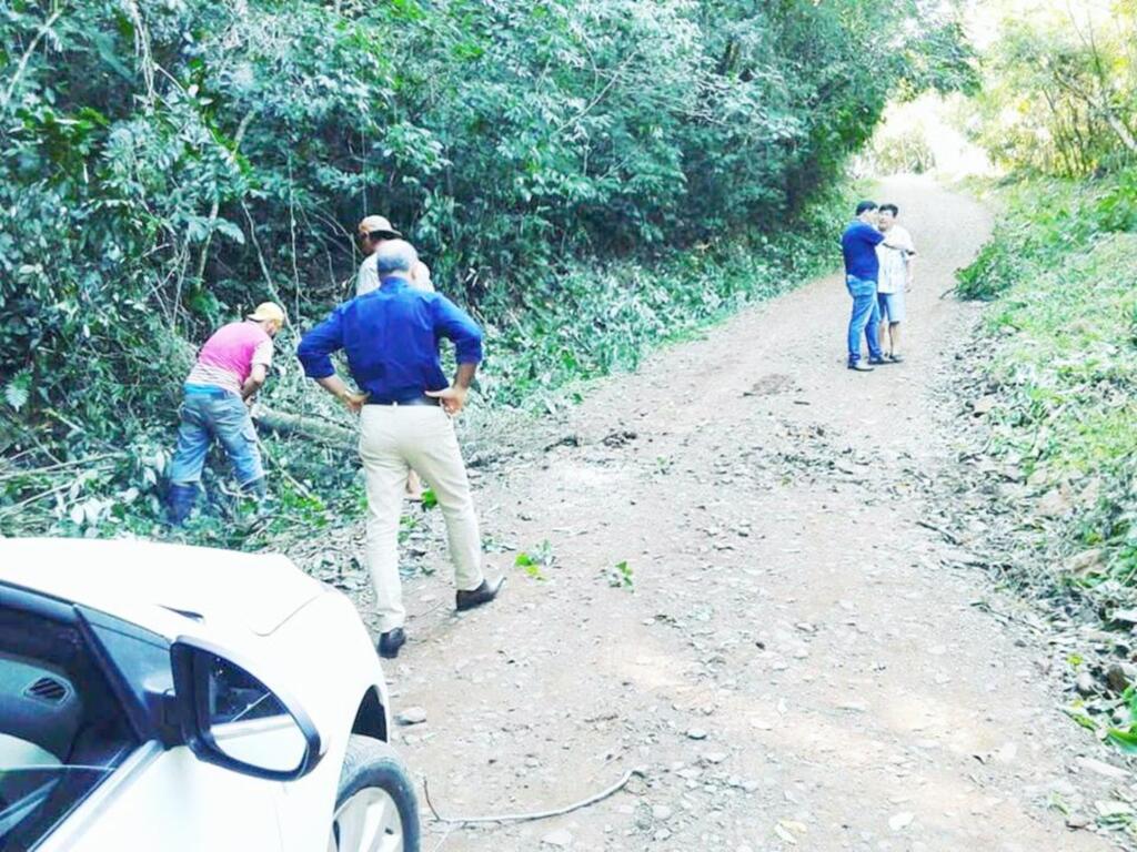 EXECUTADA A ROÇADA NA ESTRADA QUE DÁ ACESSO A PEDRA BRANCA