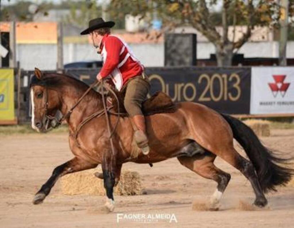 GINETE FAGÃO CREDENCIA O CAVALO VILÃO DO ITAÓ  PARA O FREIO DE OURO