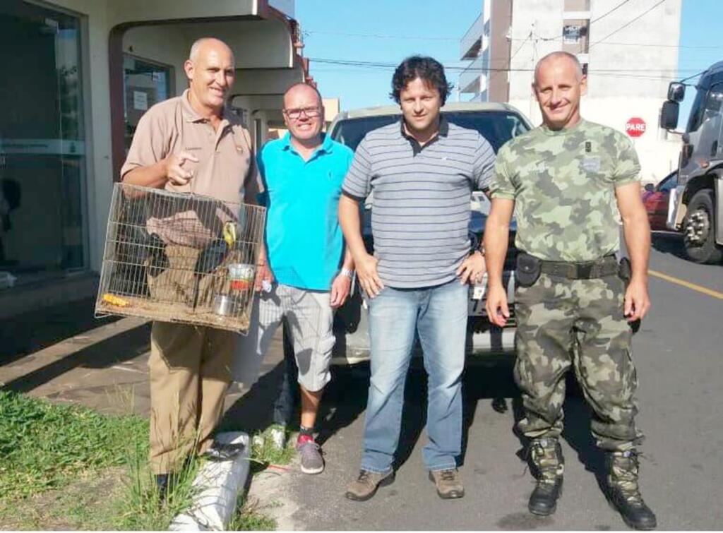 TUCANO É ENCONTRADO ABANDONADO
