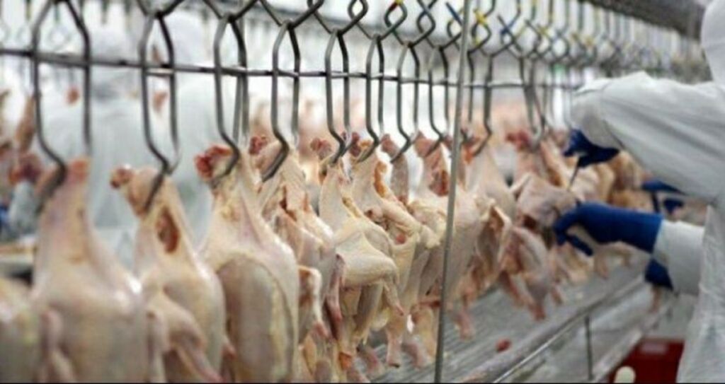 SECRETARIA DA AGRICULTURA SE MANIFESTA SOBRE SUSPENSÃO DAS EXPORTAÇÕES DE CARNE DE FRANGO DA BRF PARA UNI ÃO EUROPEIA