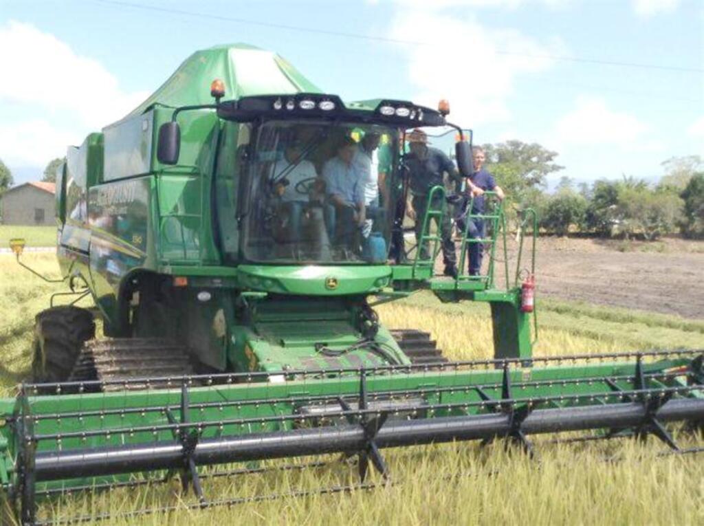 Foto: Divulgação/Epagri Araranguá - 