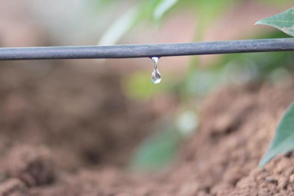 AGRICULTORES DE MAMPITUBA SÃO CONTEMPLADOS COM  KITS DE IRRIGAÇÃO