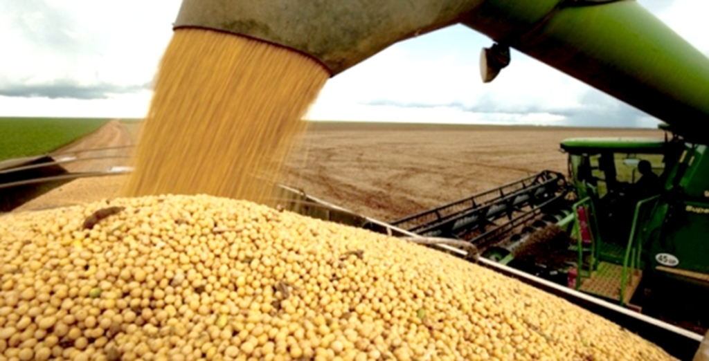 PREÇO RECEBIDO PELO PRODUTOR REGISTRA QUEDA DE 10,5% EM 2017
