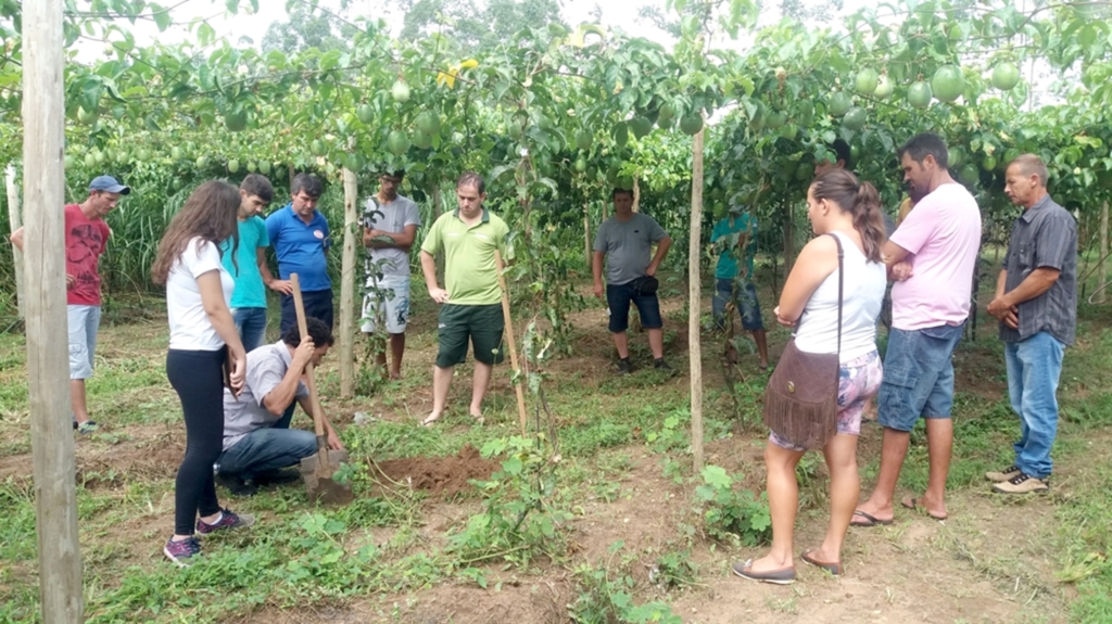 EPAGRI REALIZA OFICINA SOBRE SELEÇÃO  DE PLANTAS E FRUTOS