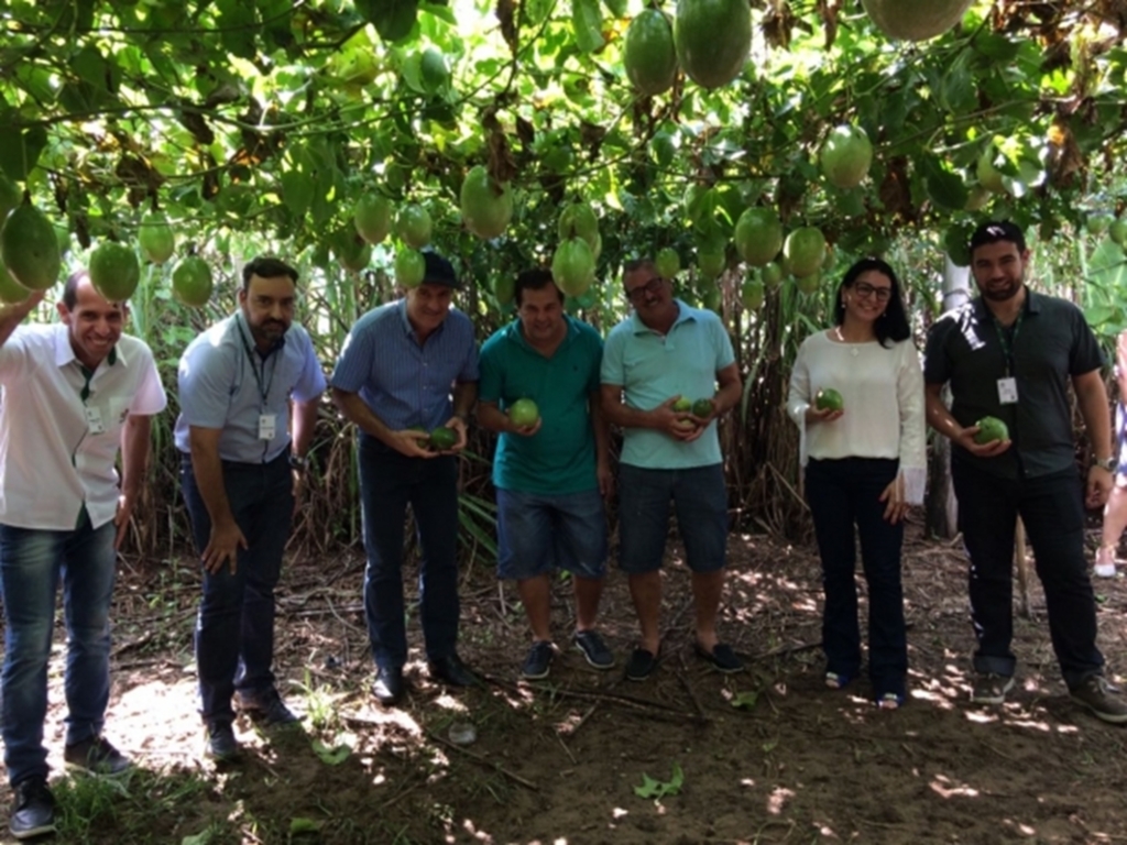ATO SIMBÓLICO EM SOMBRIO MARCA INÍCIO DA COLHEITA DO MARACUJÁ SAFRA 2017