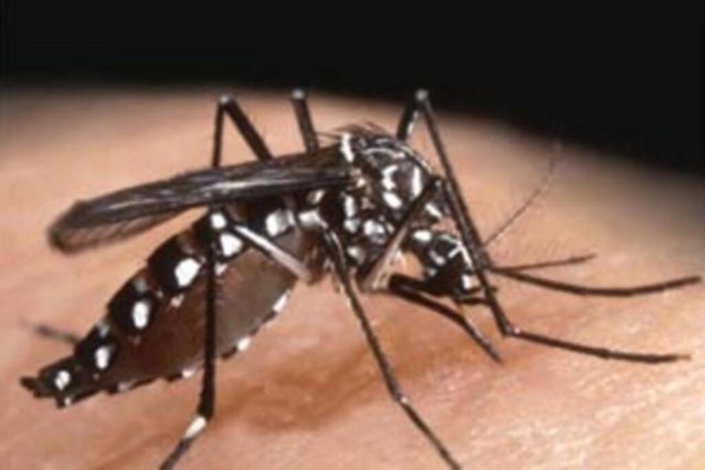 SANTA CATARINA RECEBERÁ R$ 3,2 MILHÕES DE RECURSO ADICIONAL PARA COMBATE AO AEDES