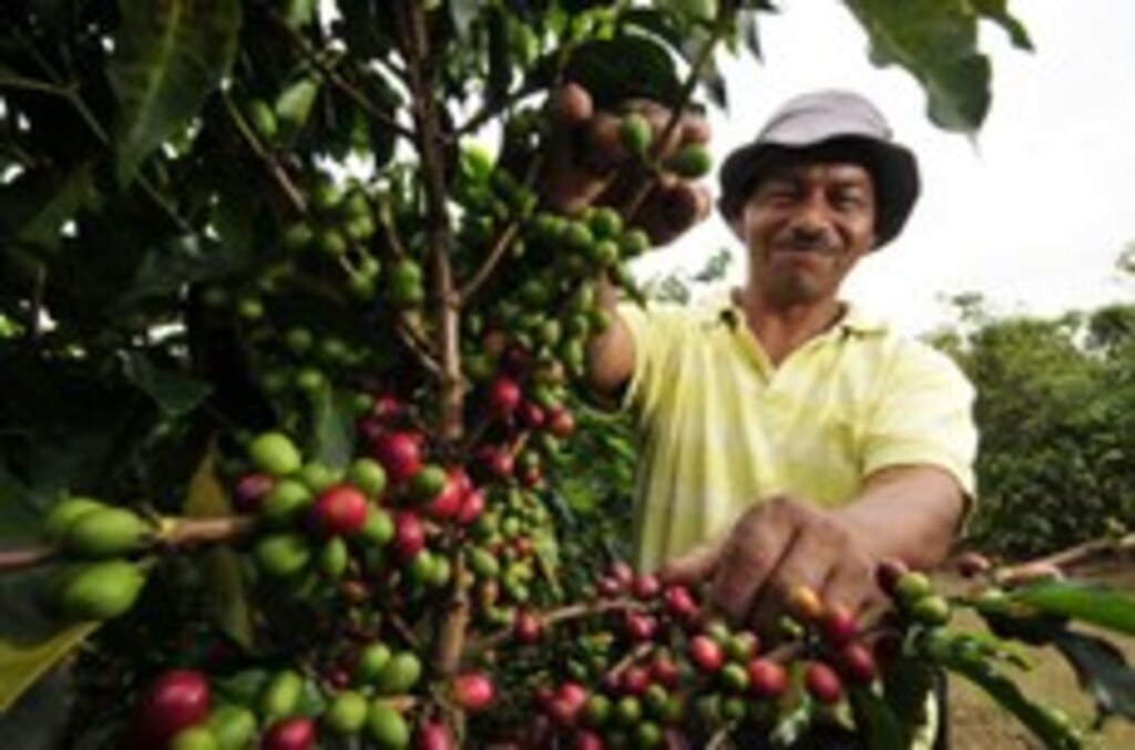 VENDAS DE ESTOQUES GARANTEM RENDA AO PRODUTOR EM 2016