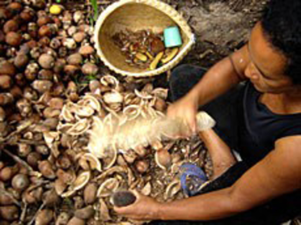 AGRICULTORES RECEBERÃO DESCONTOS EM 13 PRODUTOS