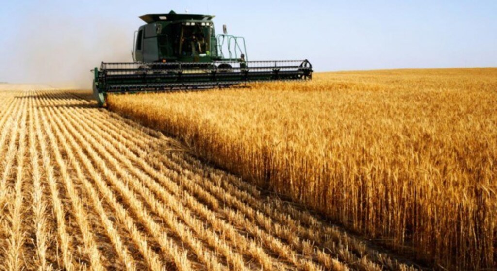 AGRONEGÓCIO DEVE TER CRESCIMENTO DE 2% EM 2017