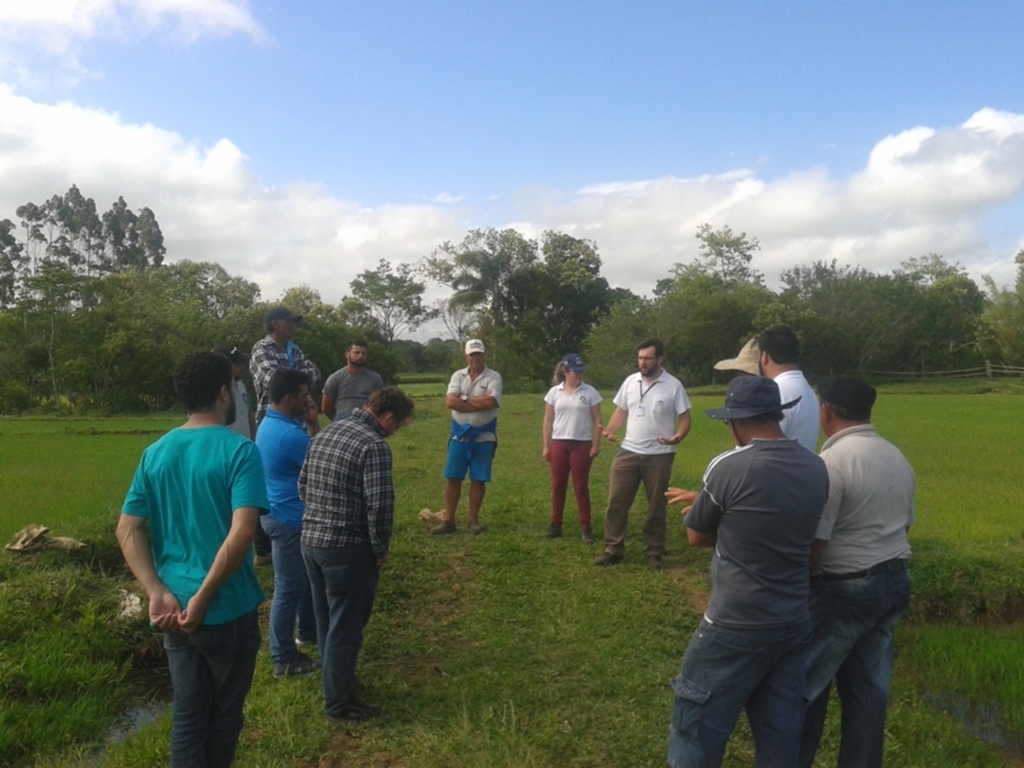 PRODUTORES GAÚCHOS DE ARROZ ORGÂNICO VISITAM SÃO JOÃO DO SUL
