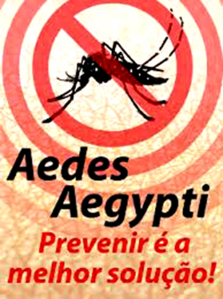 PRESENÇA DE LARVAS DO AEDES AEGYPTI DIMINUI EM TORRES