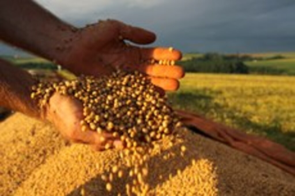 PRODUÇÃO DE GRÃOS DEVE CRESCER ATÉ 15,6% NA SAFRA 2016/17