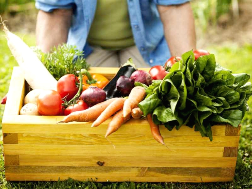 ACERT COMEMORA 25 ANOS PRESERVANDO A NATUREZA E CULTIVANDO A VIDA