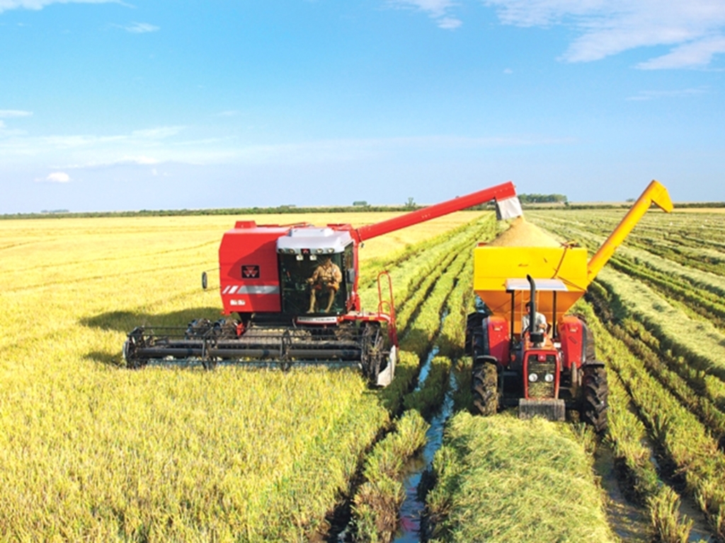 EPAGRI REALIZA PALESTRA SOBRE O PLANTIO DE ARROZ EM PRAIA GRANDE