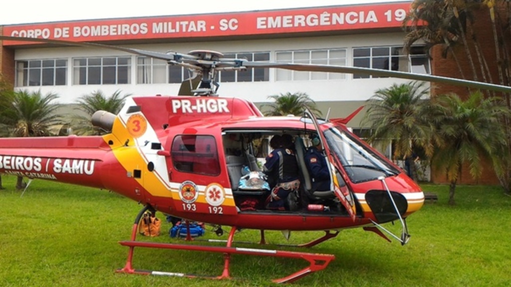 divulgação - 