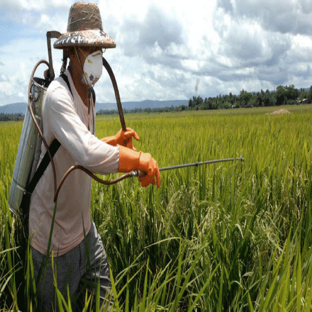 PROIBIÇÃO DO 2,4-D AUMENTARIA CUSTO DA AGRICULTURA EM 506,53% NO BRASIL