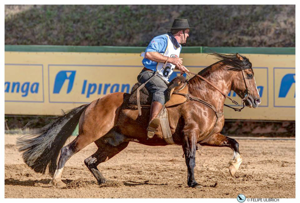 GINETE FAGÃO ESTÁ CLASSIFICADO AO FREIO DE OURO NACIONAL 2015