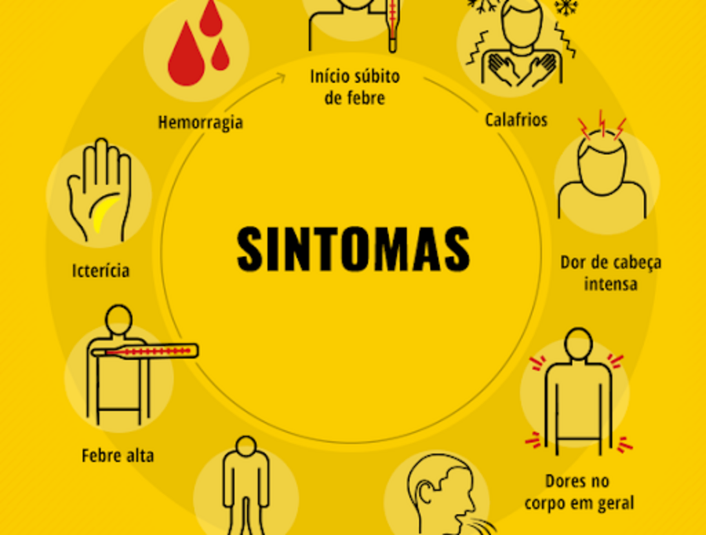Divulgação - 