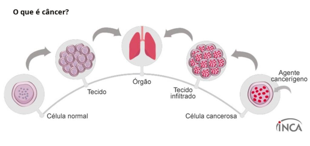 LONGEVIDADE E PERSPECTIVAS NA ONCOLOGIA