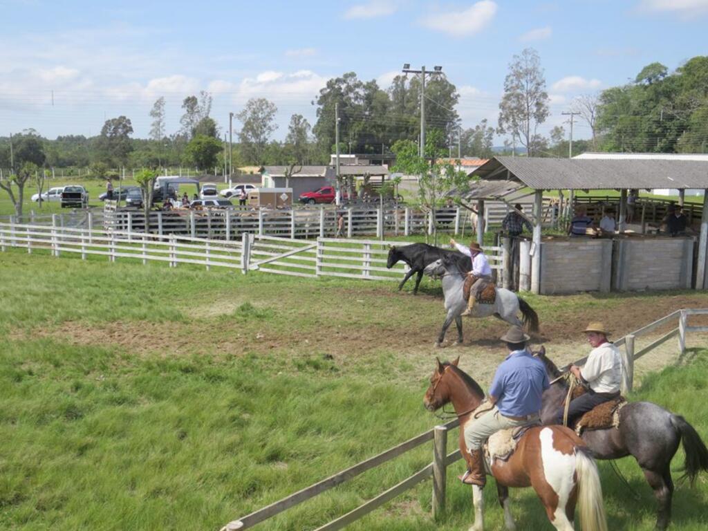 INICIA O CAMPEONATO MUNICIPAL DE LAÇO  DO CTG PORTEIRA CATARINENSE