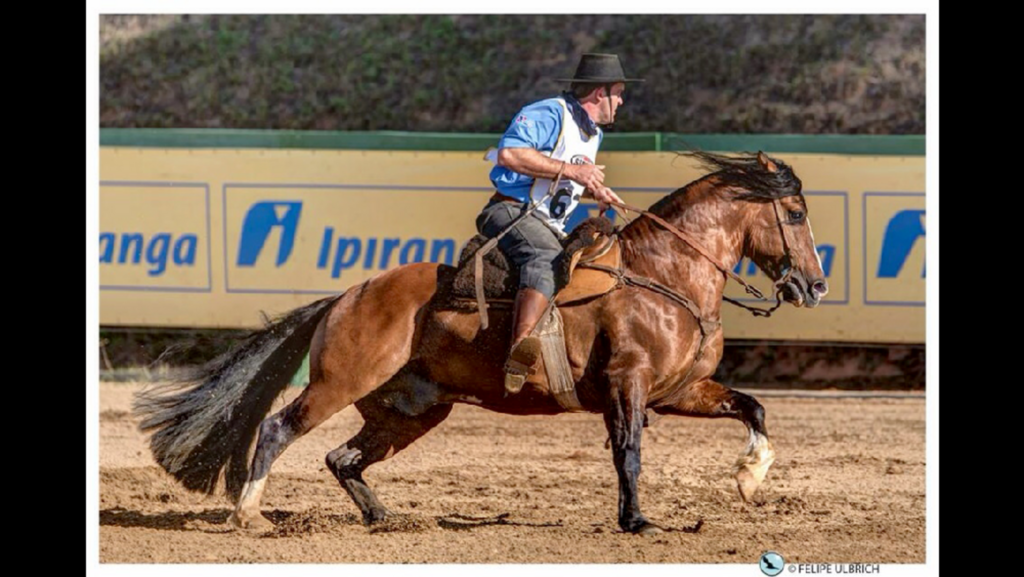 GINETE FAGNER CRESCÊNCIO  PARTICIPA DO FREIO DE OURO 2015