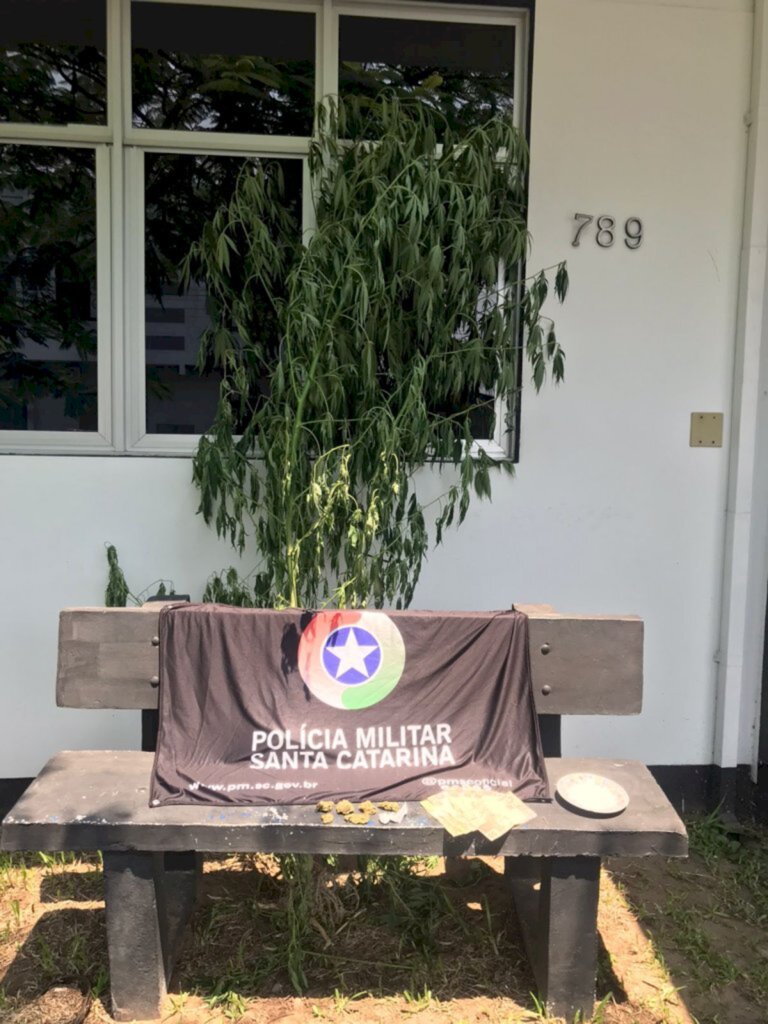 INDIVÍDUO É PRESO POR TRÁFICO DE DROGAS E LESÃO CORPORAL EM PASSO DE TORRES