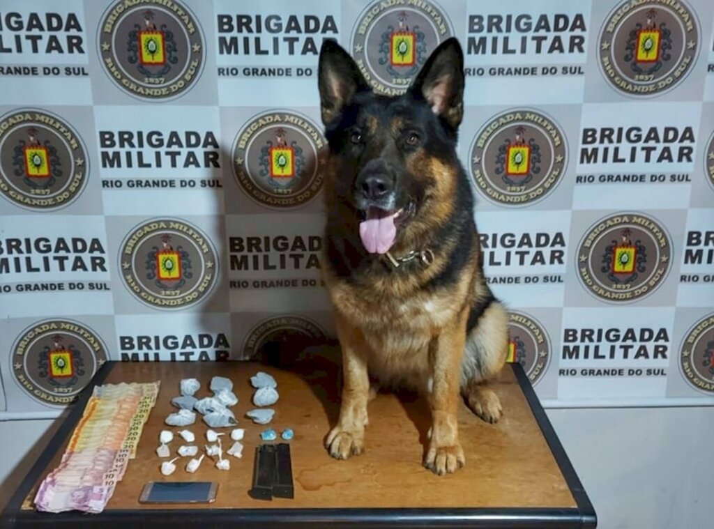 Divulgação BM - 