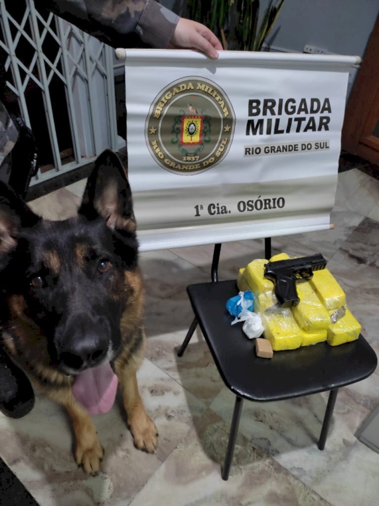 Divulgação BM - 