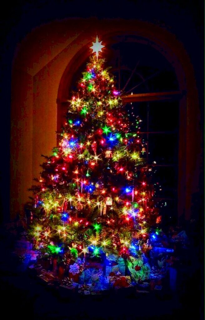 ESPECIAL DE NATAL: De onde vêm as luzinhas?
