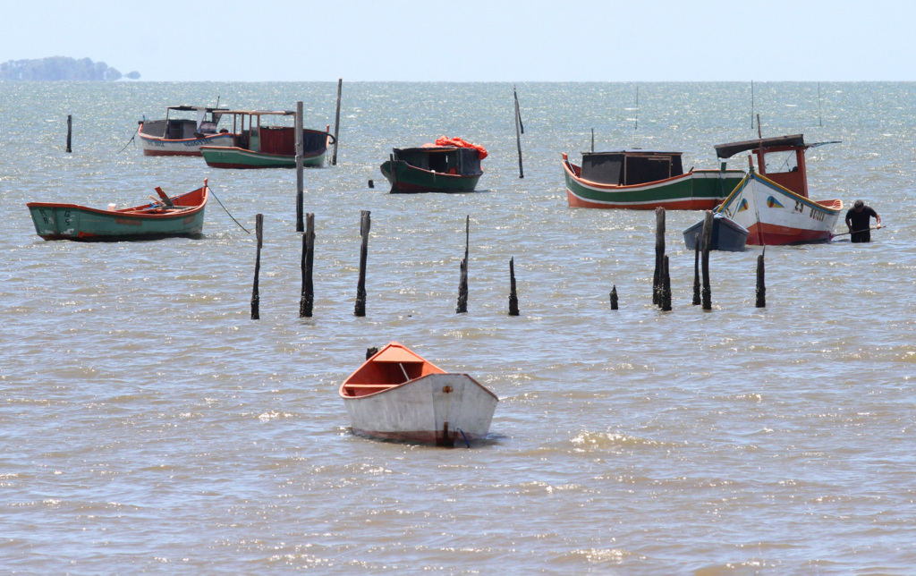 Jô Folha - DP - Em Pelotas, a Abertura da Colheita do Camarão ocorrerá na Colônia de Pescadores Z-3