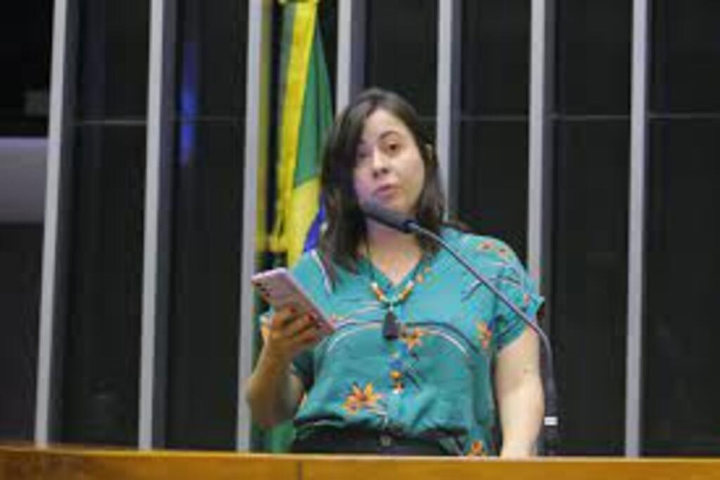 Deputada do Psol pede que CNJ proíba nomeação de defensor em caso de criança grávidas por estupro