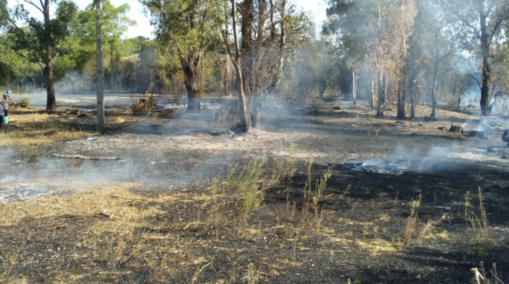 divulgação - O incêndio em vegetação no Imbaá iniciou a partir da queima de lixo.