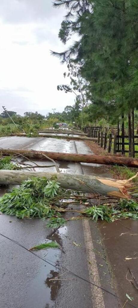 VENDAVAL ATINGE O MUNICÍPIO DE SANTA ROSA DO SUL E CAUSA ESTRAGOS