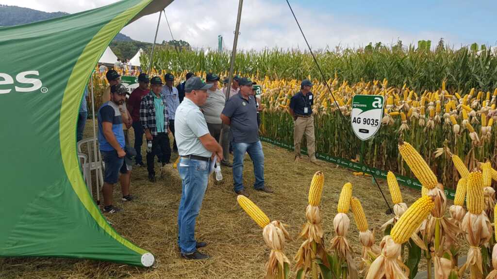 Agricultores aprimoram conhecimento em Dia de Campo