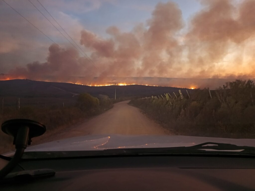 Divulgação - DP - Bombeiros só conseguiram controlar as chamas após 15 horas do inicio do incêndio