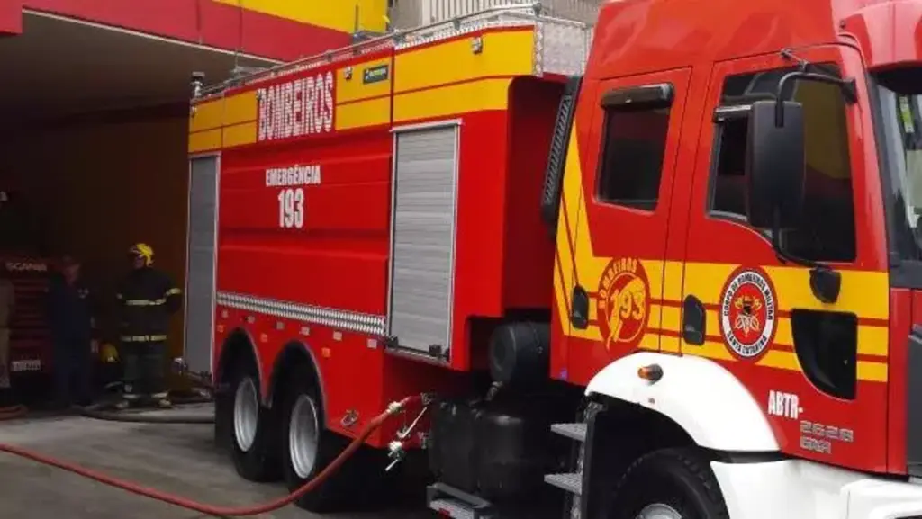 Bombeiros são acionados para captura de cobras, insetos e fogo no mato, em Imbituba